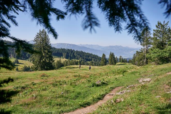 Auf dem Weg auf den Kojen in Riefensberg