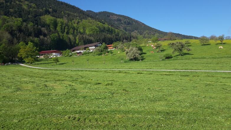Blick auf den Hof von der Ferne