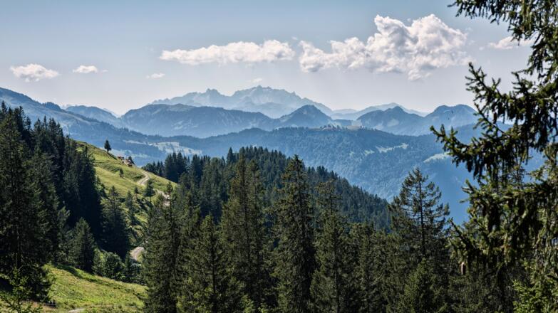 Ausblick von der Niedere