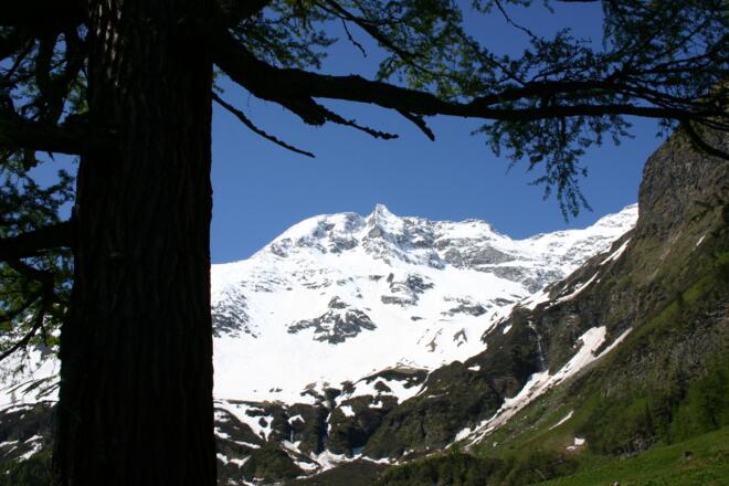 Aussicht auf den Sonnblick