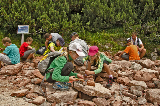 Versteinerte Korallen am Triassic Trail