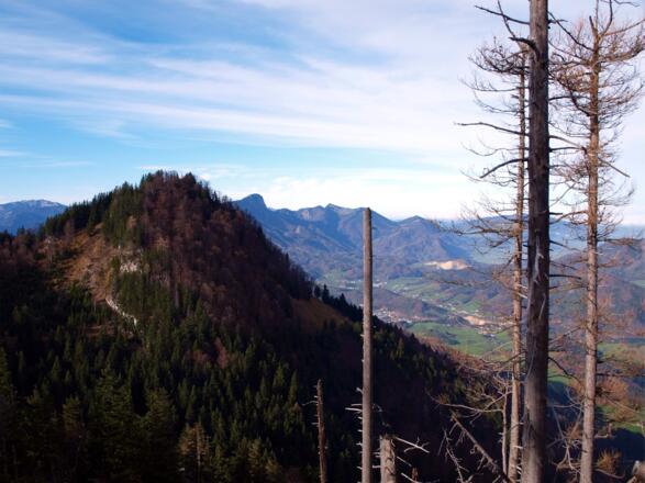 Großer Spitzberg 1396m vom Kleinen gesehen