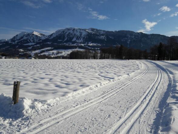 schöne Loipe im Großdorfer Feld