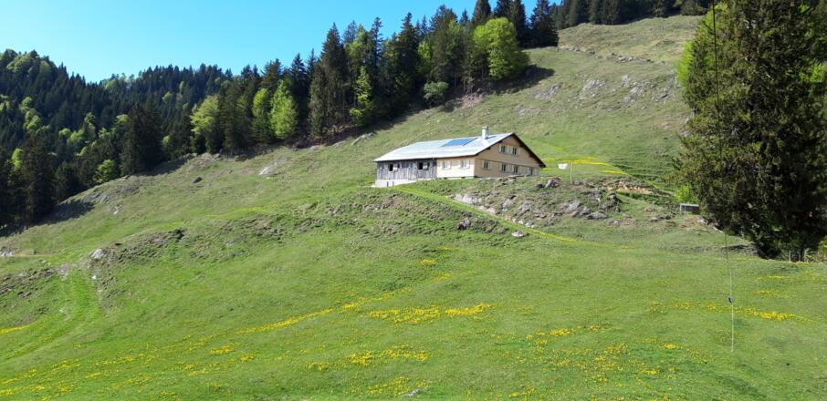 Lochalpe Lecknertal Hittisau