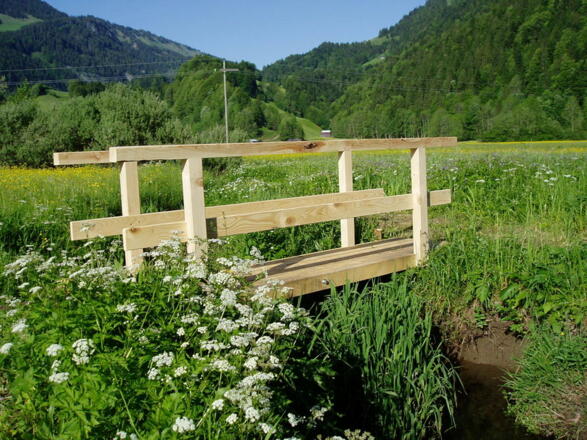 Bizauer Moos