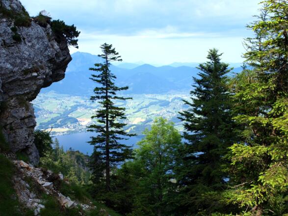 Einstieg Zierlersteig 1250 m