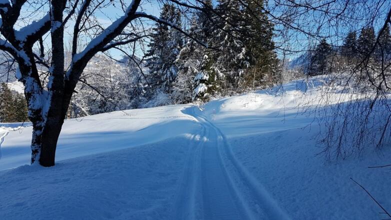 Winterwanderweg Alberschwende