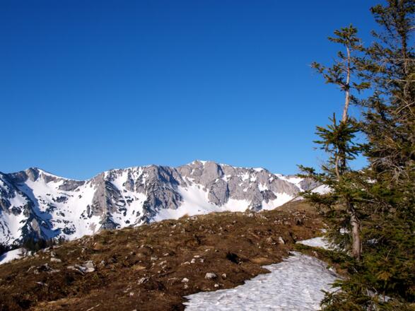Blick zur Hohen Nock vom Plateau