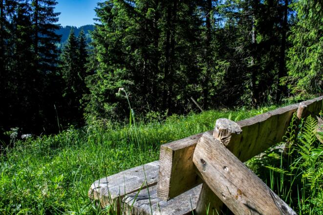 Aussichtsbank im Kleinwalsertal