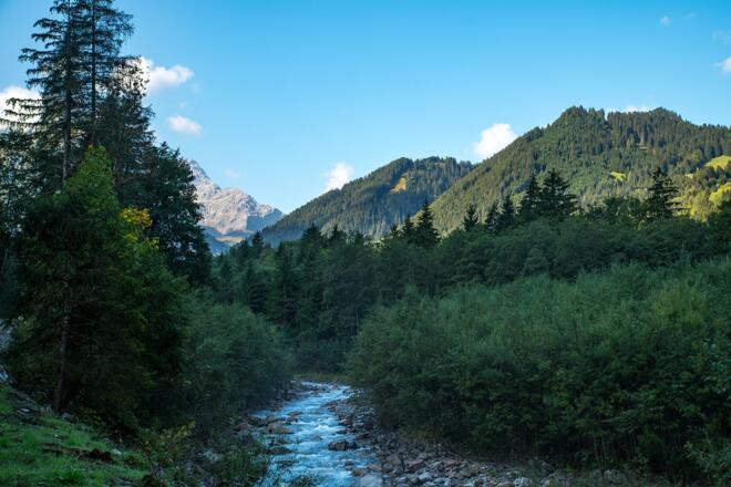 Entlang des Alvierbach-Weges