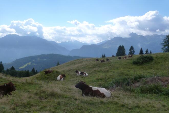 Ausblick von der Meiselsteinkapelle