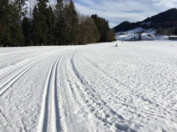 Langlaufloipe Egg/Großdorf