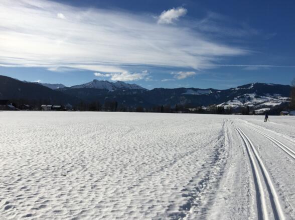 Langlaufloipe Egg/Großdorf
