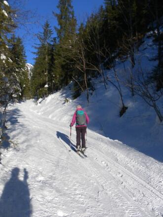 Rodelbahn Rinnbergalm