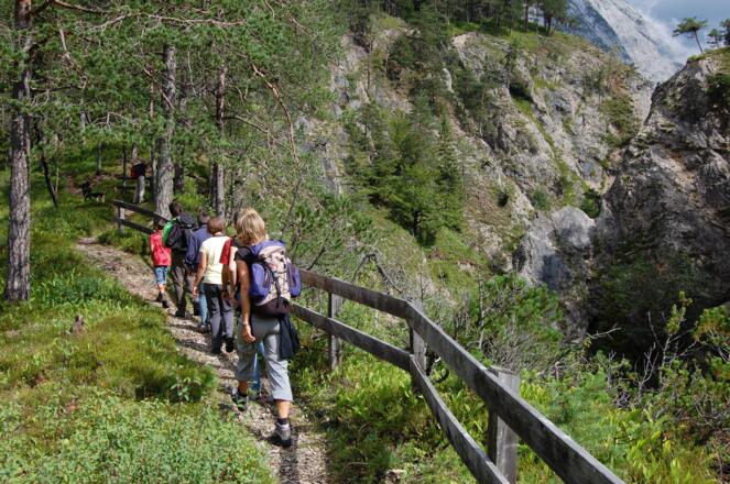 Der kurze Wanderweg an der Karwendelschlucht entlang eröffnet beeindruckende Ausblicke!