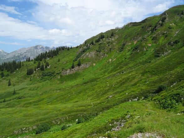 Höhenweg zurück Richtung Bergstation der Sonnenkopfbahn