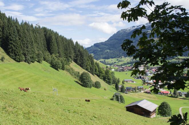 Auf der Lichtung über Mittelberg