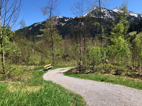 Wanderweg an der Breitach