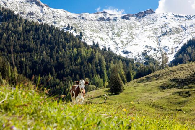 Gaisbachtal