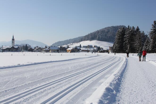 Rund ums Dorf in Hittisau