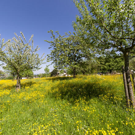 Garten - Ausblick