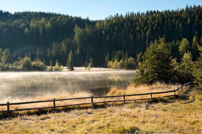 Herbststimmung am Prebersee