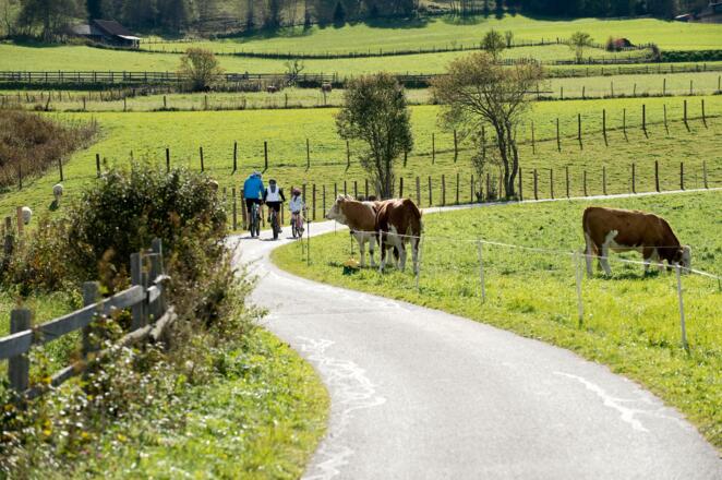 Unterwegs am Murradweg in der Ferienregion Lungau
