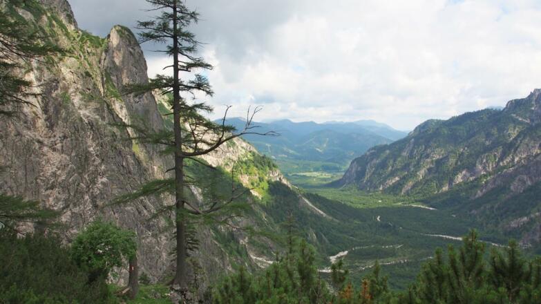 Rückblick auf die "Röll" vom Sepp Huber Steig. Der Forststraßenhatscher im Tal hängt sich wie immer an...
