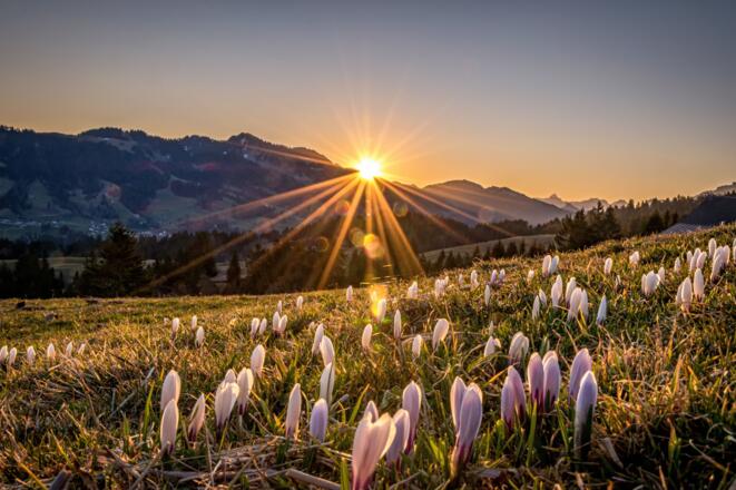 Schetteregg im Frühling
