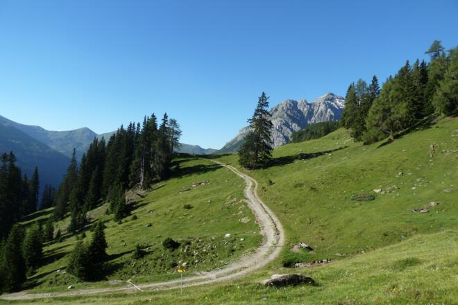 Weggabelung oberhalb der Kastenalmhütte