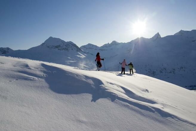Tiefschneefahrer Lech