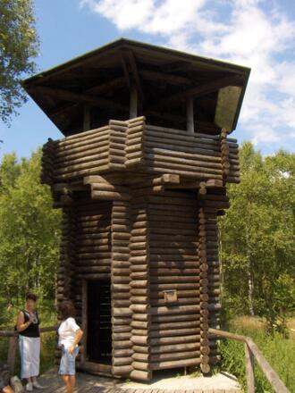 Vom Aussichtsturm im Roten Moor genießen wir einen herrlichem Weitblick in das Naturschutzgebiet.
