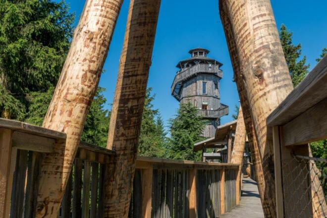 Baumkronenweg Kopfing