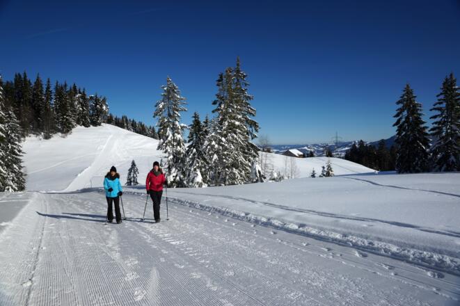 Winterwandern am Brüggelekopf