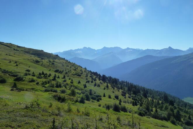 Blick nach Osten über die lichte Lärchenwälder