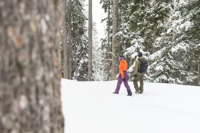 Winterwanderweg durch tief verschneite Landschaft in Sonntag-Stein