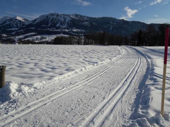 Sonnige Loipe im Großdorfer Feld