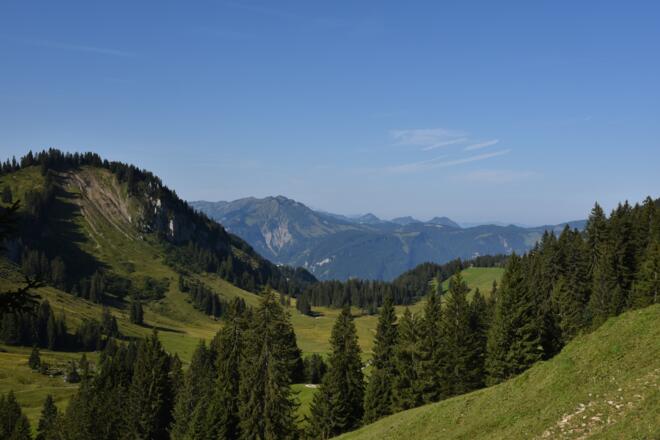 Ausblick auf der Alpe Sammere