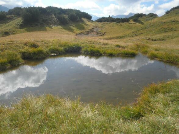 Froschlacke Gipslöcher