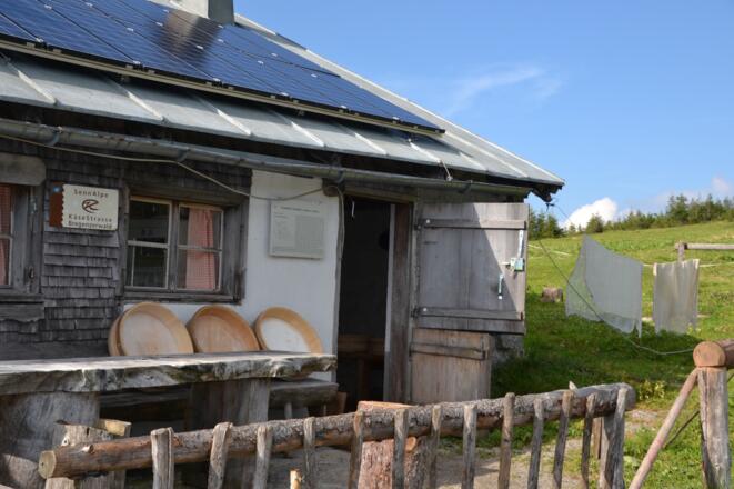 Alpe Vordere Niedere Andelsbuch