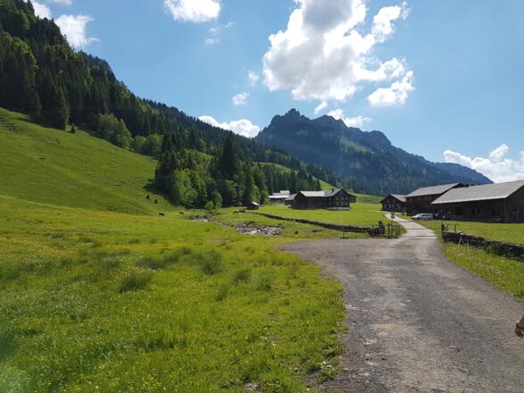 Schönenbach