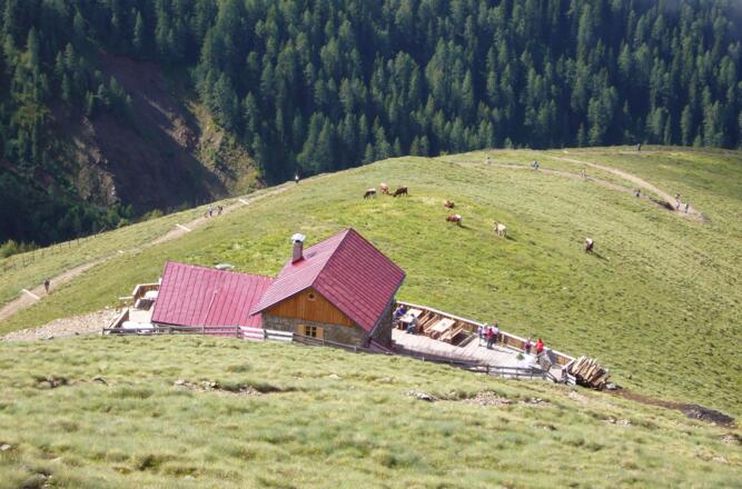 Die Bonner Hütte
