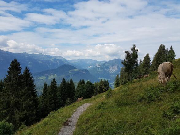 Ausblick vom Sonderdach