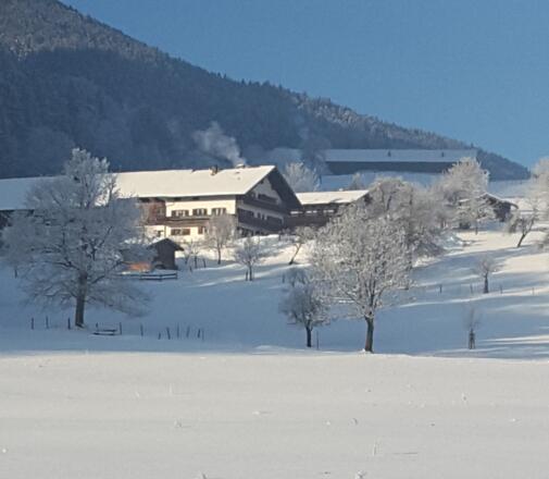 Unterulpointhof im Winter