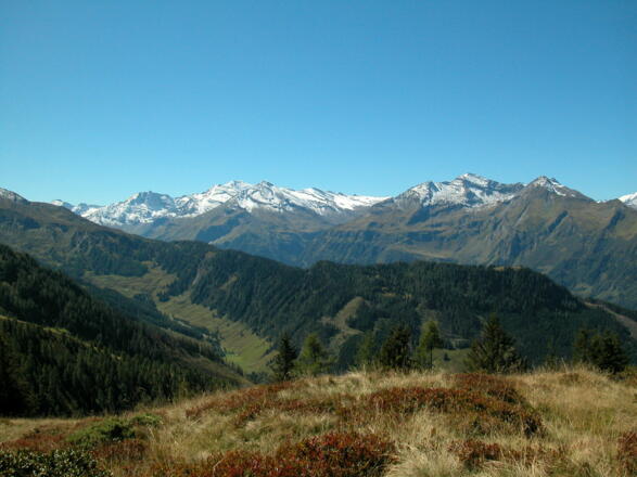 Aussicht Rettenegghöhe