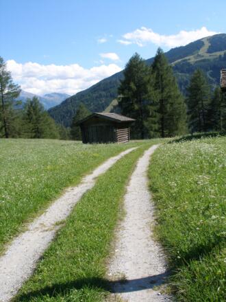 Blumenwiesen mit Heustadel beim Aufstieg