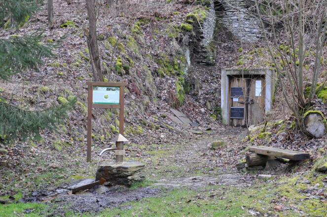 Artesische Qelle Saalbach