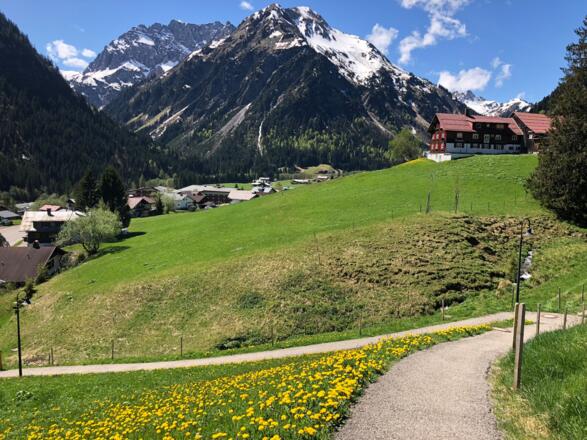 Mittelberg mit Blick auf den Bärenkopf
