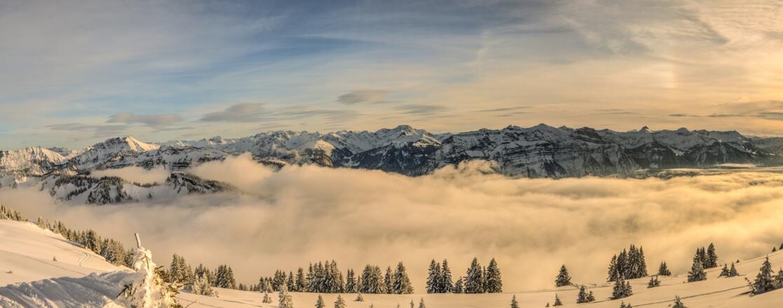 Panorama Hintere Niedere