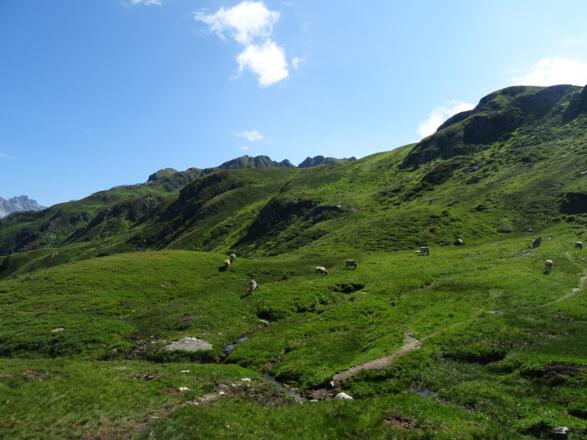 Über Hochmoore führt der Weg Richtung Burtschasattel